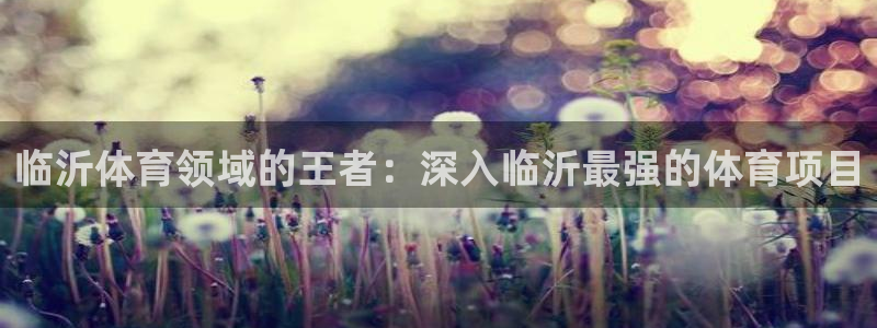 星欧娱乐工711.11是正规的吗
