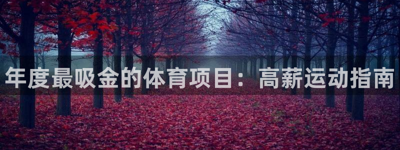 星游娱乐下载地址