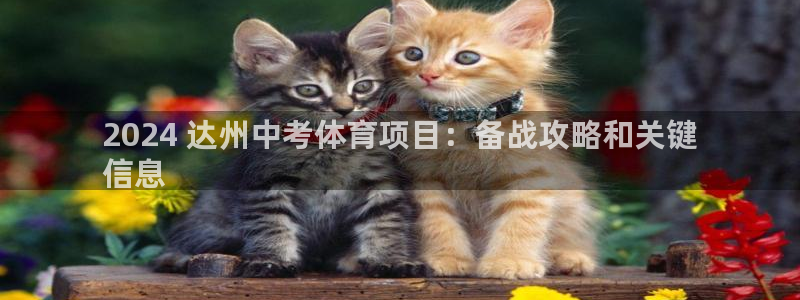 星欧娱乐属于什么档次