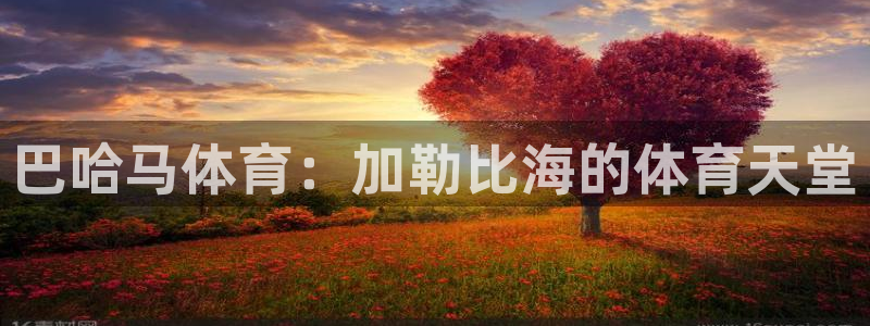 星澳娱乐公司怎么样