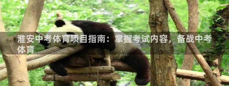 星欧娱乐最建议买的三个游戏
