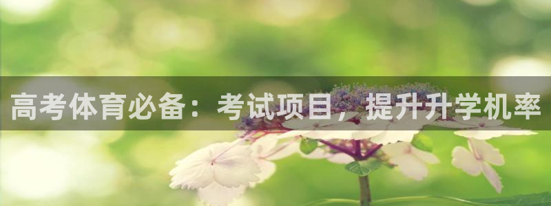 星欧娱乐挂机赚钱