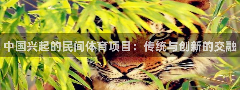 星欧娱乐雀V是什么平台