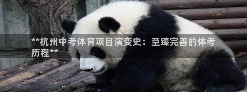 星娱乐文化传媒