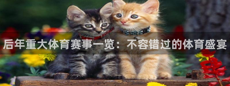 星娱乐包月是干嘛的