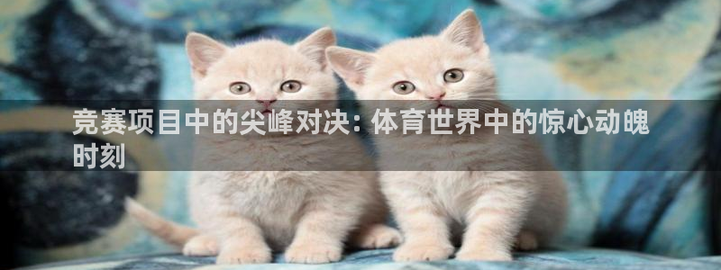 星欧娱乐属于什么档次的公司