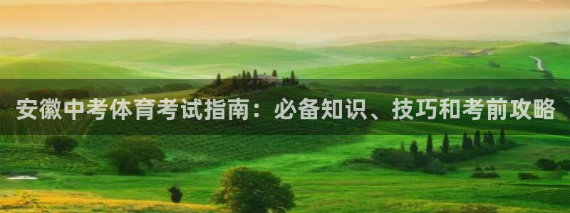 星欧娱乐官方客服联系方式电话