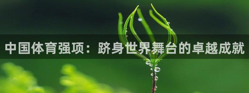 星欧娱乐最建议买的三个产品是什么呢