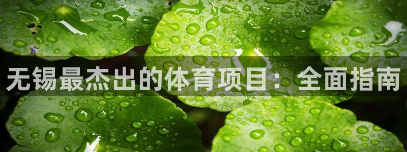 星娱乐文化传媒有限公司
