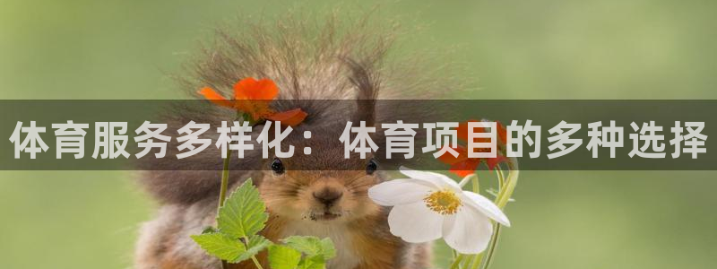 星游娱乐下载地址