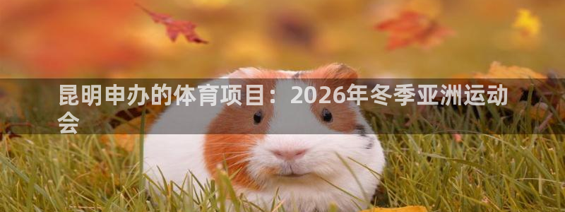 星欧娱乐属于什么档次的公司啊