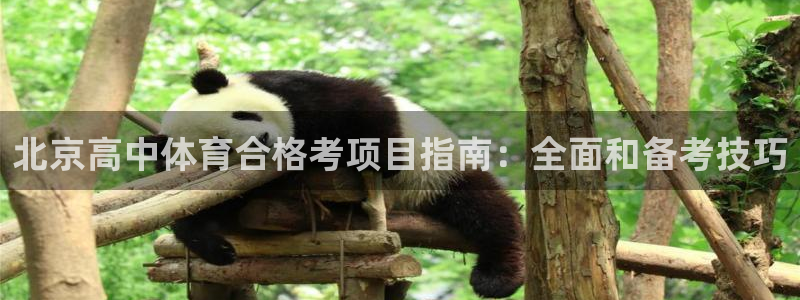 江苏星奥娱乐有限公司