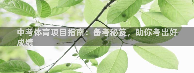 星欧娱乐属于什么档次的软件公司