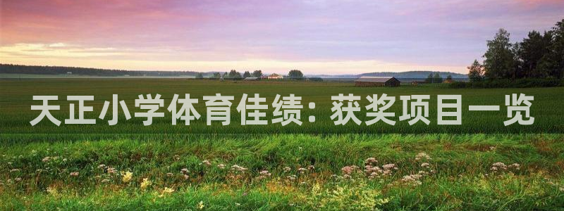 星欧娱乐官网