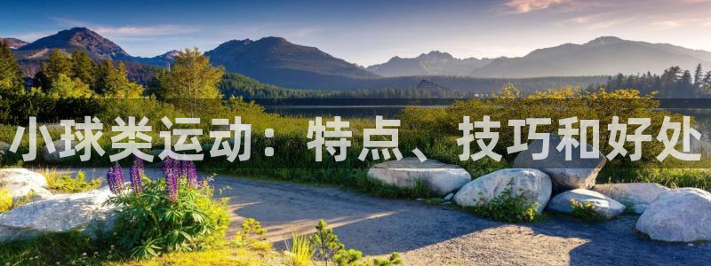 星欧娱乐联和哪个品牌合作