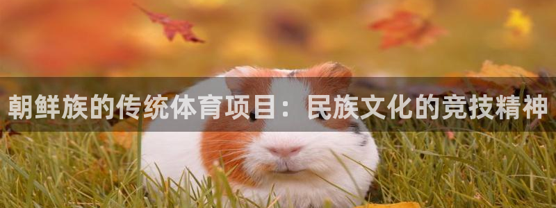 星欧娱乐联客服联系方式