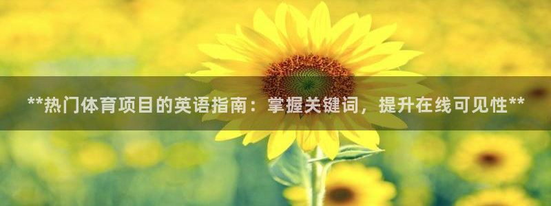 星欧娱乐扣款流程详解视频播放