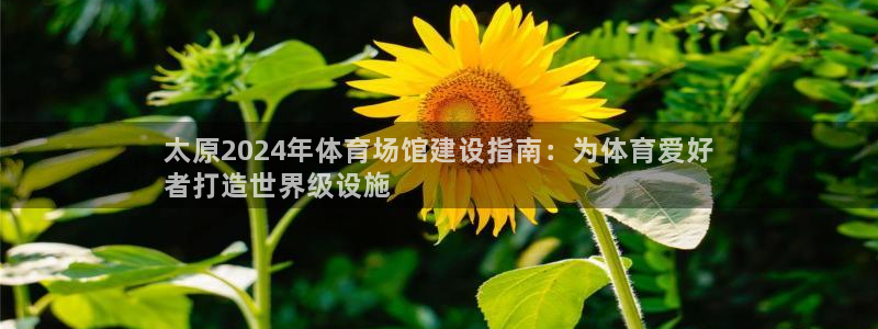 传奇星娱乐