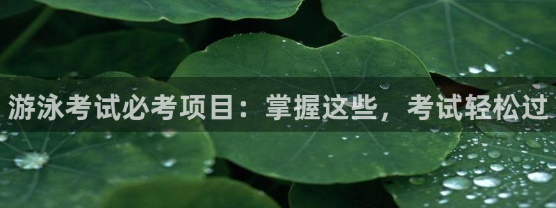 星娱乐包月业务是什么