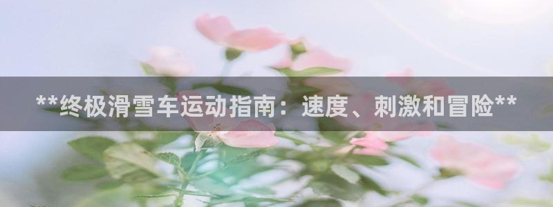 星奥娱乐艺人