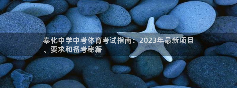 星欧娱乐公司简介