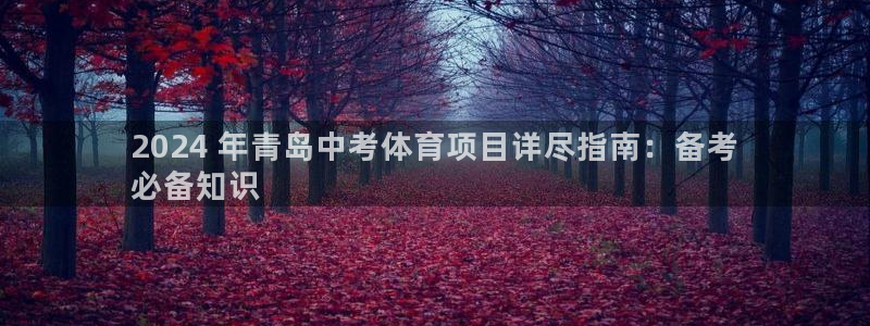 星欧娱乐官方客服联系方式是什么