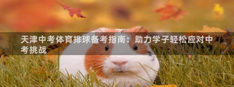 星欧娱乐官方客服联系方式电话