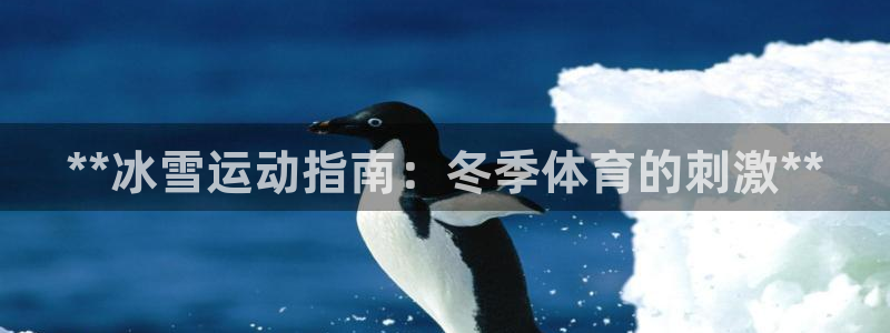 星欧娱乐的创始人背景故事