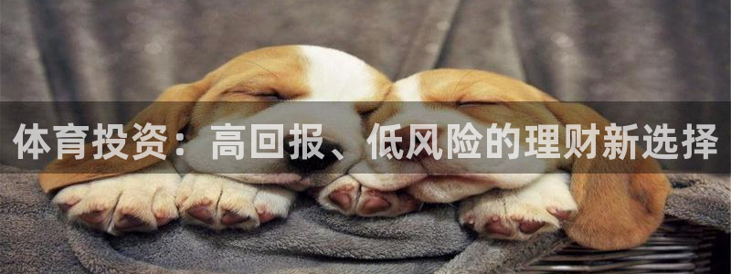 星欧娱乐属于什么档次