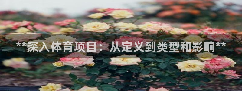 星欧娱乐官网首页入口