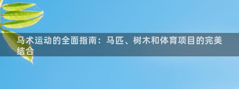 星欧娱乐公司地址