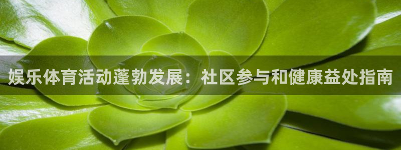 星奥娱乐待遇怎么样