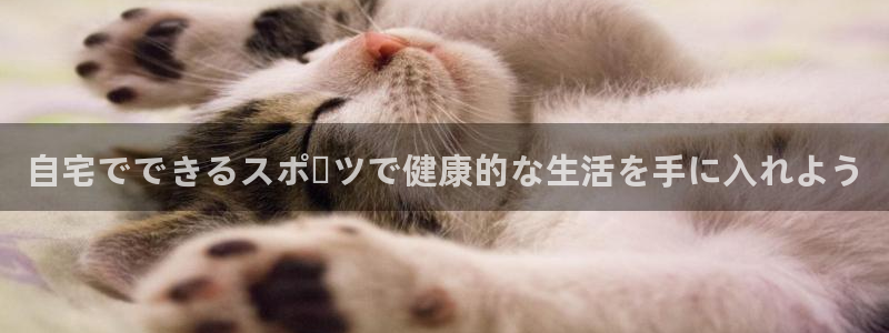 星欧娱乐的官方版本更新内容