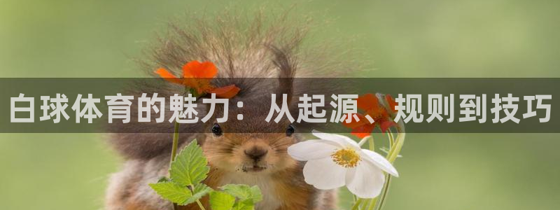 星欧娱乐扣款流程详解图