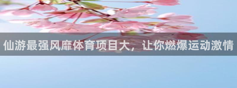 星欧娱乐的官方版本更新内容有哪些