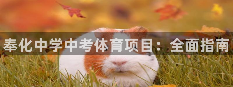 星欧娱乐的创始人背景故事是什么