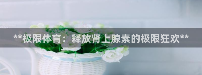 星欧娱乐是正规平台吗安全吗是真的吗