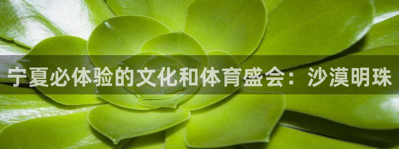 江苏星奥娱乐有限公司怎么样