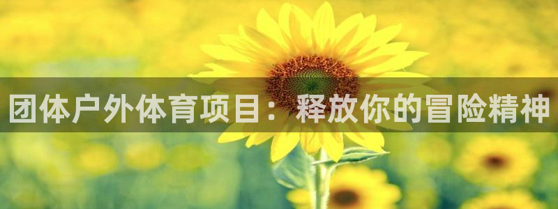 星娱乐online