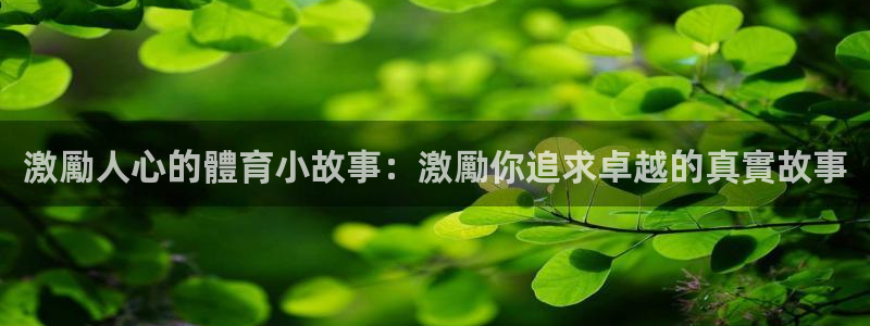 星欧娱乐平台怎么样