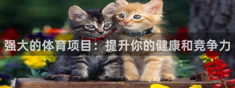 星欧娱乐的官方版本更新内容