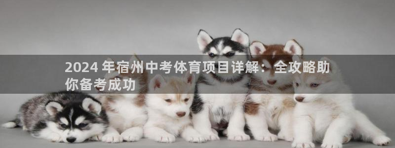 星娱乐online张译
