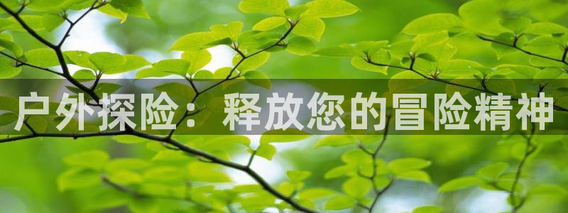 星欧娱乐挂机教程