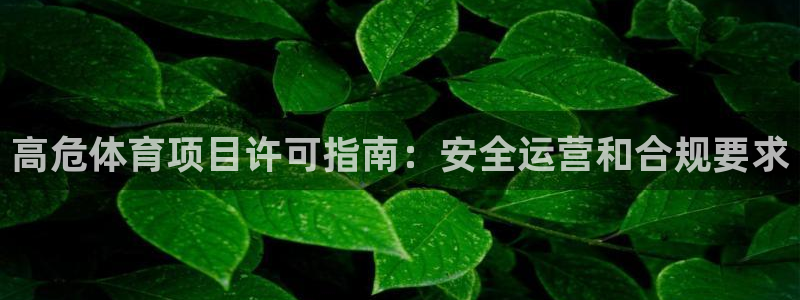 星欧娱乐app最新版本更新内容是什么