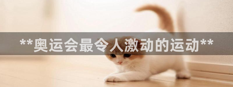 星欧娱乐平台