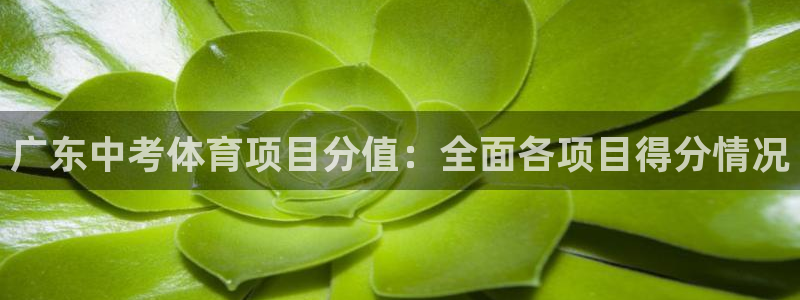 星娱乐包月是干嘛的