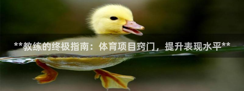 星欧娱乐扣款流程详解图片大全