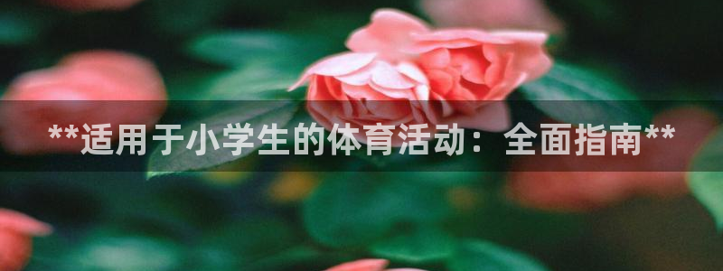 星欧娱乐的创始人背景故事是什么