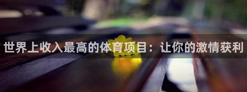 星澳娱乐公司