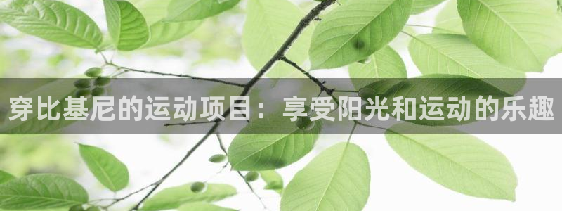 星欧娱乐测速怎么样